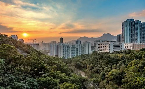 深圳一季度GDP同比下降6.6%，但房地產開發投資逆勢增長2.1%