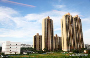 住宅開發占比創五年新高，房地產市場結構失衡引關注
